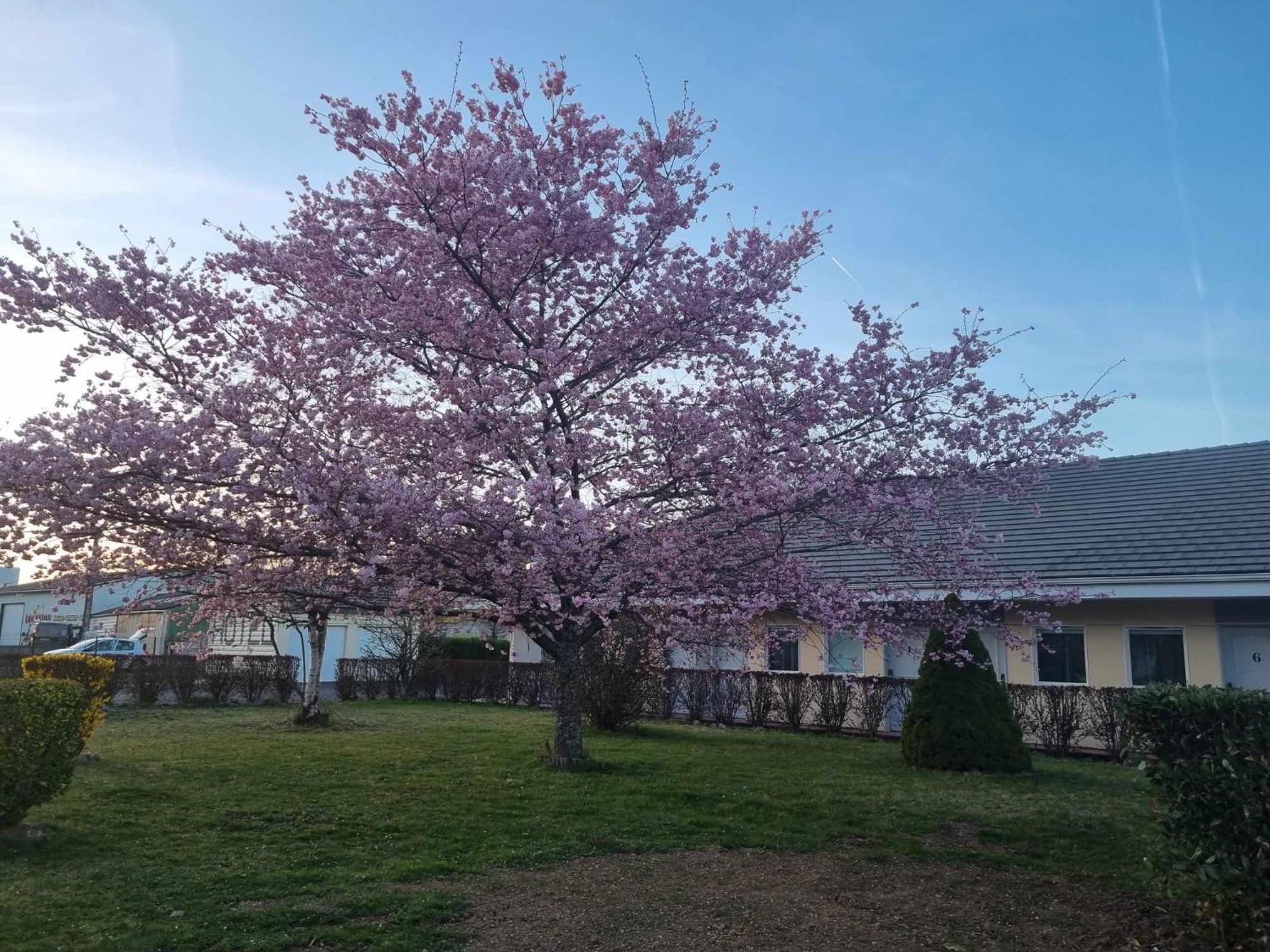 The Originals Access, Hotel Le Lutea Riom-ès-Montagne المظهر الخارجي الصورة